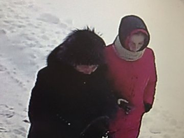 Просять впізнати жінок, які в Луцьку знайшли гаманець і не повернули. ФОТО
