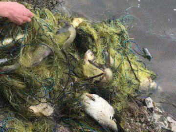 Зловили «на гарячому» двох волинян-браконьєрів