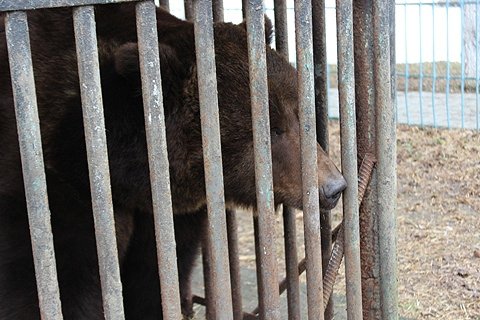 У луцькому зоопарку ‒ поповнення. ФОТО