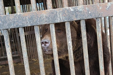 У луцькому зоопарку ‒ поповнення. ФОТО