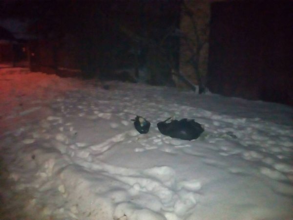 Луцькі муніципали спозаранку полюють на порушників