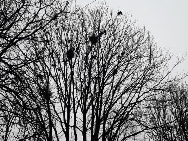 Двір луцької багатоповерхівки асфальтують уже три роки. ФОТО