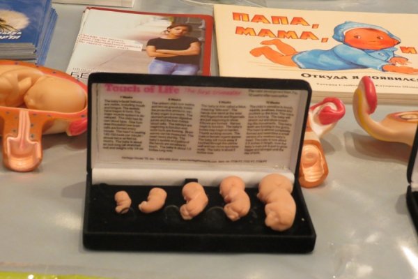 У Луцьку стартував «Тиждень подружжя»: для декого шокуюче. ФОТО. ВІДЕО