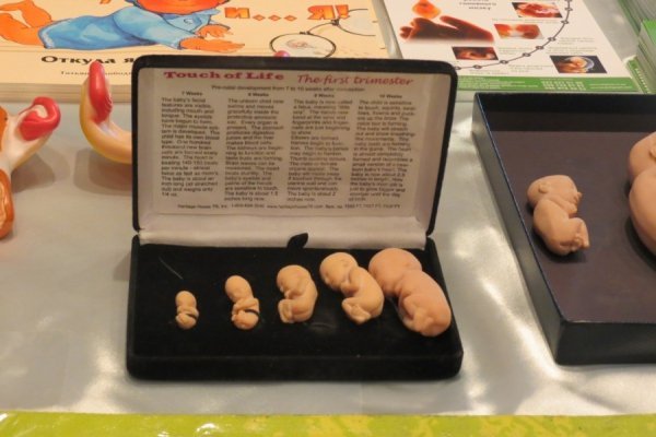 У Луцьку стартував «Тиждень подружжя»: для декого шокуюче. ФОТО. ВІДЕО