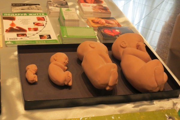 У Луцьку стартував «Тиждень подружжя»: для декого шокуюче. ФОТО. ВІДЕО