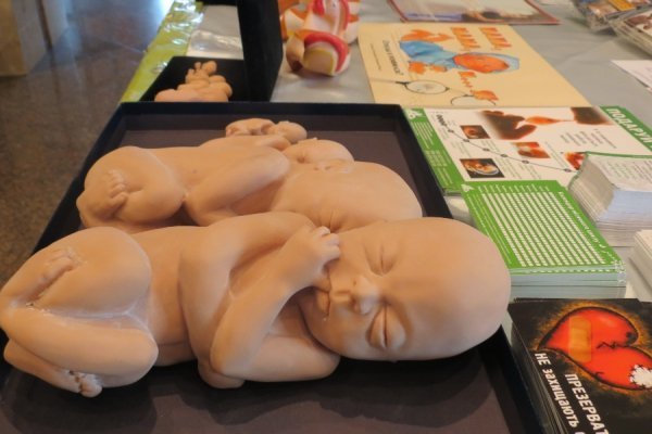 У Луцьку стартував «Тиждень подружжя»: для декого шокуюче. ФОТО. ВІДЕО