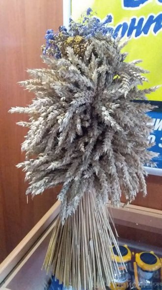 Як на Волині плетуть головний символ Різдва. ФОТО