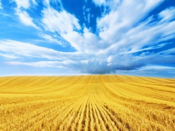 Якою буде погода на Волині на День Незалежності, 24 серпня