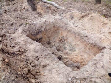 У волинському лісництві «на гарячому» затримали бурштинокопачів