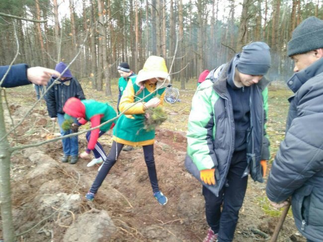Волинські школярі висадили майже гектар лісу. ФОТО