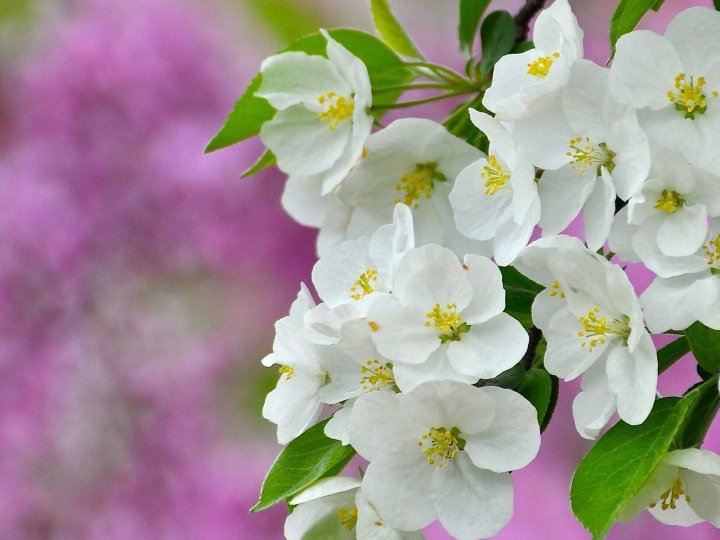 Потепління буде недовгим: прогноз погоди від волинських синоптиків на тиждень