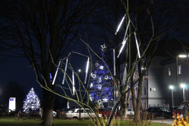 Шопка із живими ягнятами і святкові вогні: частину промислової вулиці у Луцьку перетворили на яскраву локацію
