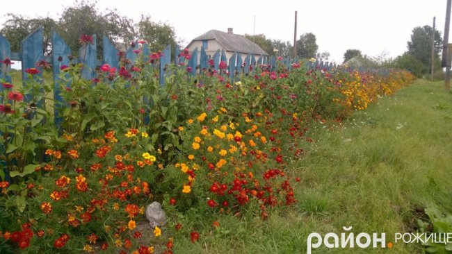 Рання осінь у волинському селі. ФОТО