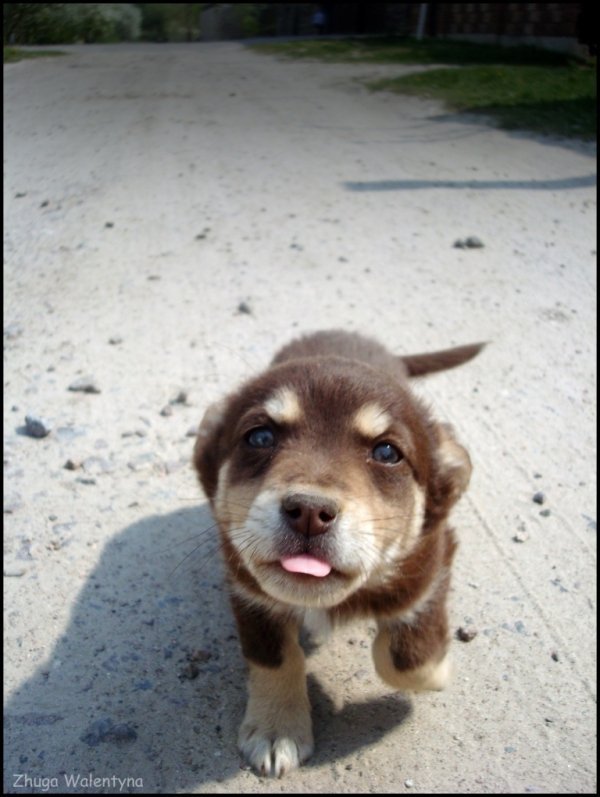 Фотовиставка Валентини Жуги