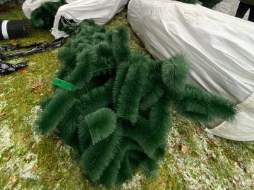 У Ковелі встановлюють головну ялинку міста. ФОТО