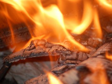 Чоловік помер, будинок згорів: просять допомогти багатодітній волинянці, яка після пожежі живе в сусідів