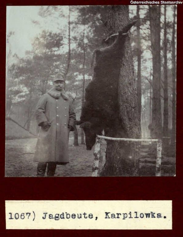 Село на Волині у часи Першої світової війни. РЕТРОФОТО