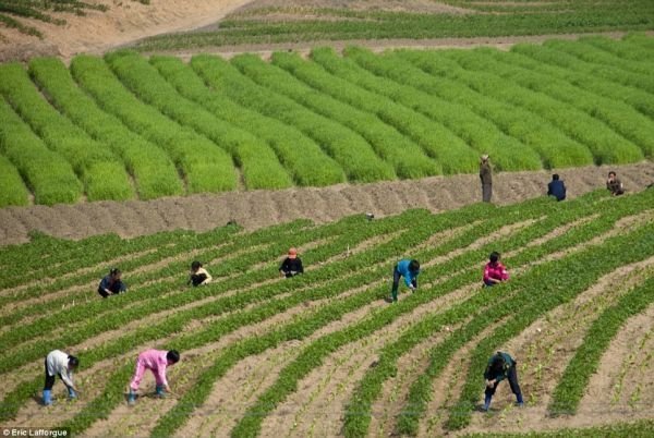 Заборонена Північна Корея. ФОТО