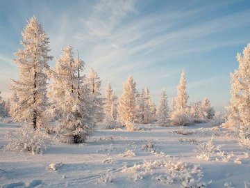Погода в Луцьку та Волинській області на завтра, 13 грудня