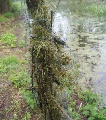 У Луцьку виявили чоловіка, який ловив рибу забороненим знаряддям