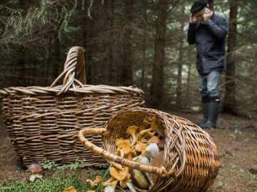Волиняни пішли за грибами і зникли