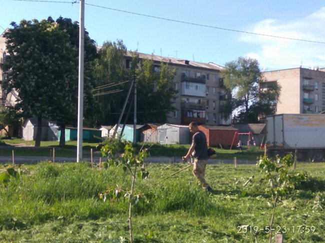 Жителі волинського міста навели лад поблизу ставка. ФОТО