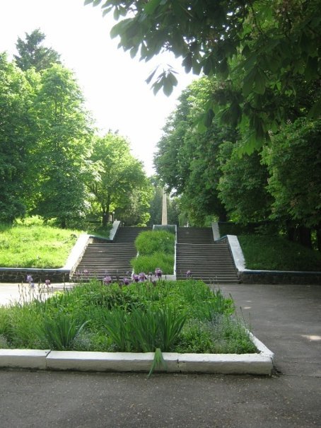 Фото «типового» Горохова