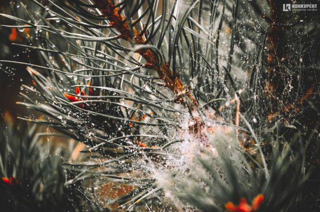 Атмосферні фото осені у луцькому «Сіті Парку»