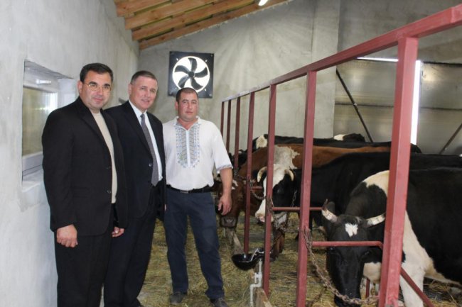 На Волині відкрили перші сімейні молочні ферми. ФОТО
