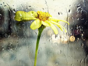 На Західній Україні на вихідні прогнозують сильні дощі