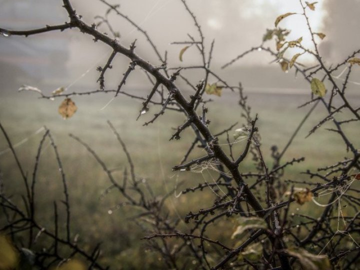 Якою на Волині буде погода у листопаді і коли чекати сніг