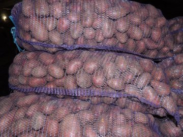 На Волині 21-річний хлопець виніс із чужої дачі центнер картоплі