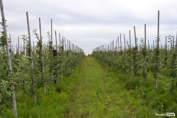 П’ятеро фермерів Горохівського району конкуруватимуть з поляками. ФОТО* 
