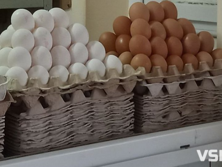 Скільки на ринках у Луцьку коштують домашні яйця?