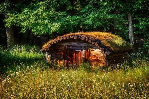 Вся давня Україна в одному селі. Історія під відкритим небом. ФОТО