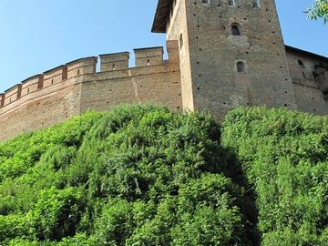 Мерію Луцька просять розчистити хащі під замком