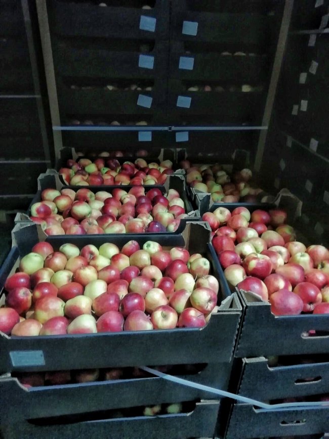 Овочевий кошик – просто до дверей: у Луцьку працює служба із корисною доставкою*