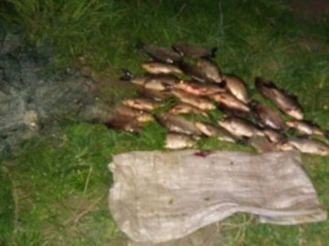 Волинський рибпатруль затримав «на гарячому» двох браконьєрів із сітками