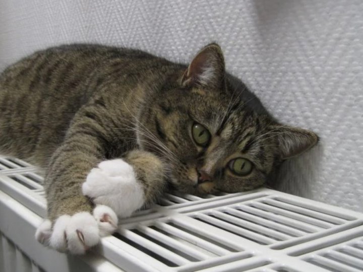 Дата початку опалювального сезону у Луцьку залежатиме від погоди