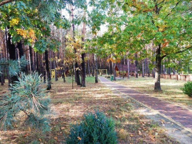 Атмосферні осінні світлини лісових рекреаційних зон на Волині. ФОТО