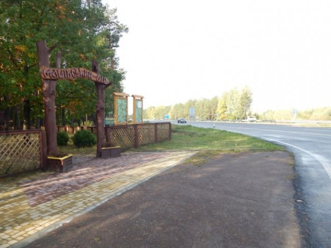 Атмосферні осінні світлини лісових рекреаційних зон на Волині. ФОТО