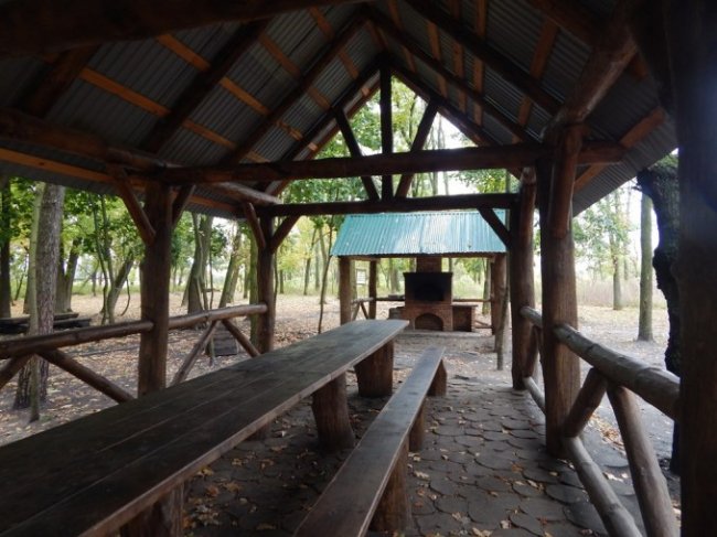 Атмосферні осінні світлини лісових рекреаційних зон на Волині. ФОТО