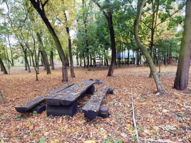 Атмосферні осінні світлини лісових рекреаційних зон на Волині. ФОТО