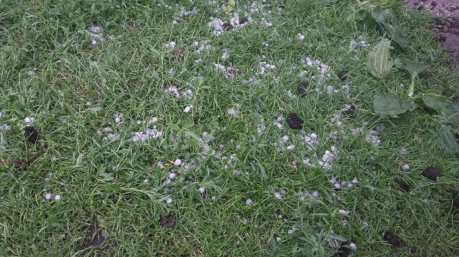 Град у Любомлі