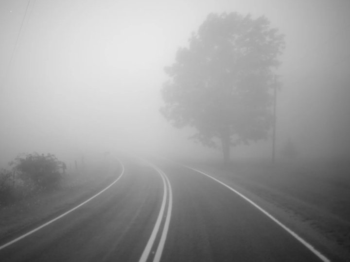 Синоптики попередили про туман на Волині: «перший рівень небезпечності»