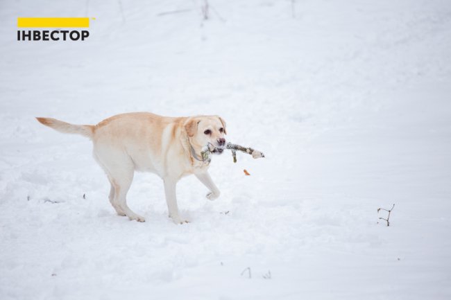 «Треба самій вміти класно тусити», – організаторка свят Тетяна Зубрик*