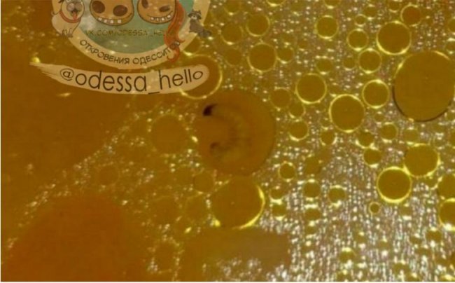 В школі дітей годували супом з хробаками. ФОТО