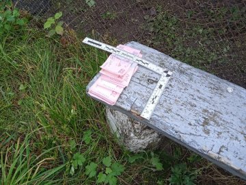 На Волині у пенсіонера з дому викрали 10 тисяч