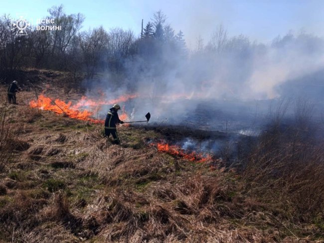 Вогонь підходив упритул до доріг та будинків: на Волині згоріло понад 30 га землі
