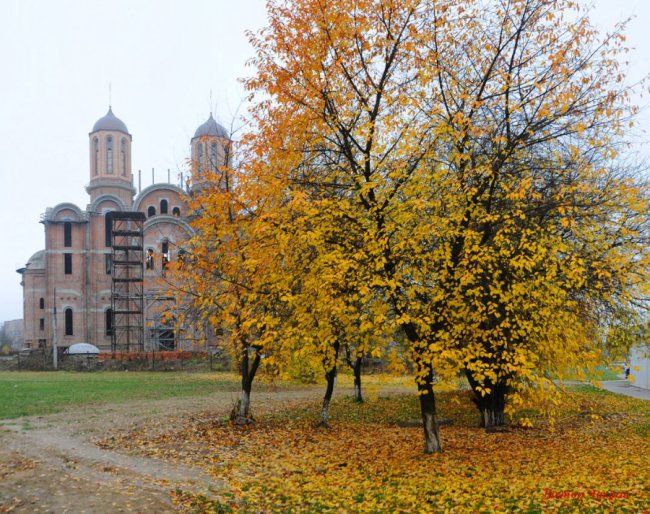 «Останнє золото»: фотограф показав осінню красу Луцька